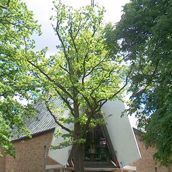 Kościół – Parafia Matki Boskiej Częstochowskiej, Gdańsk Wrzeszcz